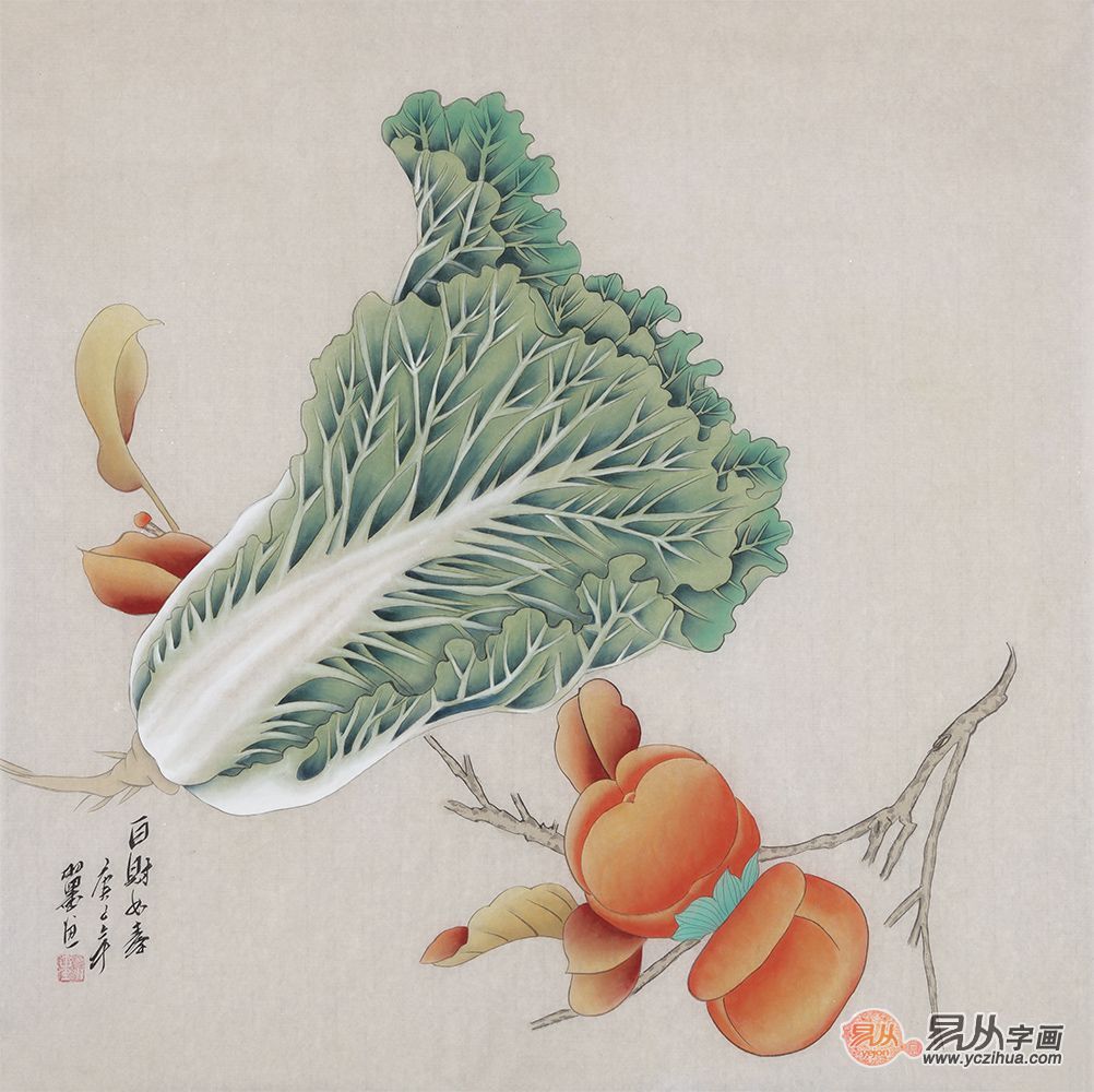 白菜图